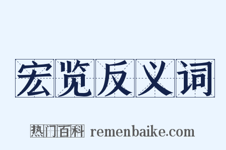 宏览反义词是什么意思的图片